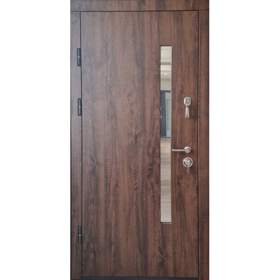 METAL DOOR SKANDI