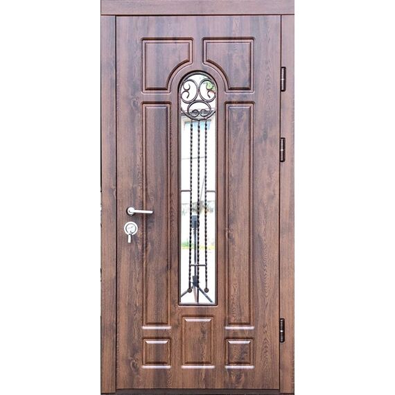 METAL DOOR DI PLUSS