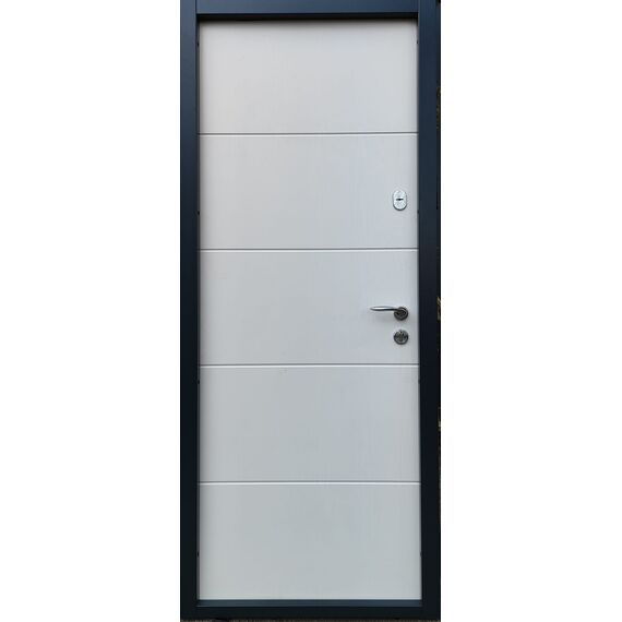 METAL DOOR FALC