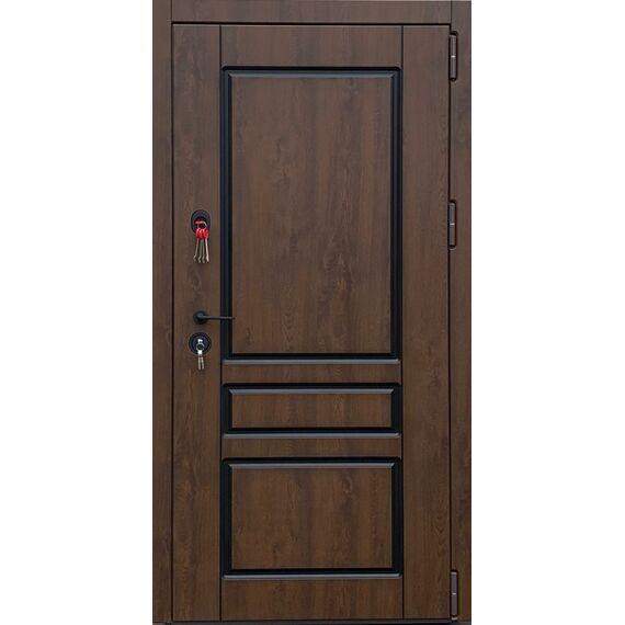 МЕТАЛЛИЧЕСКАЯ ДВЕРЬ STEEL PLUS